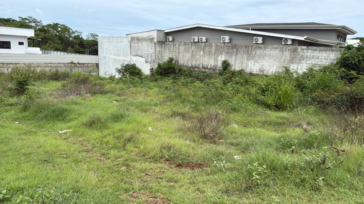 Property at Tamarindo