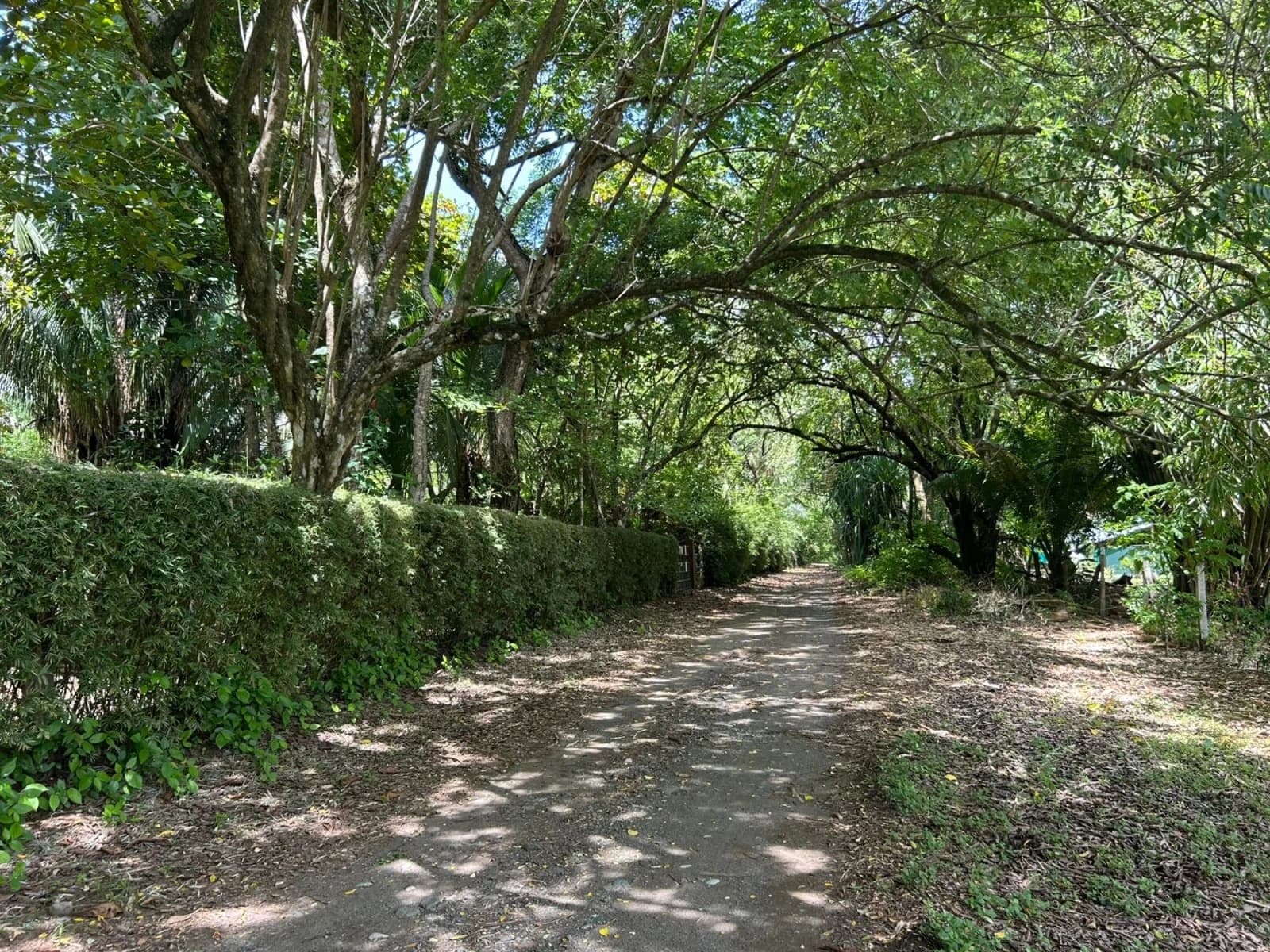 Land at Puerto Jiménez
