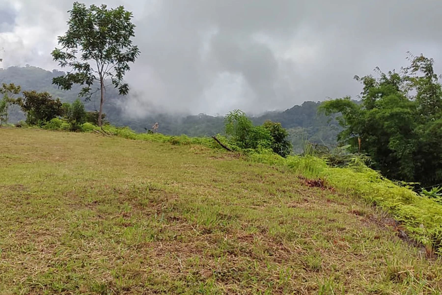 Land at Pérez Zeledón