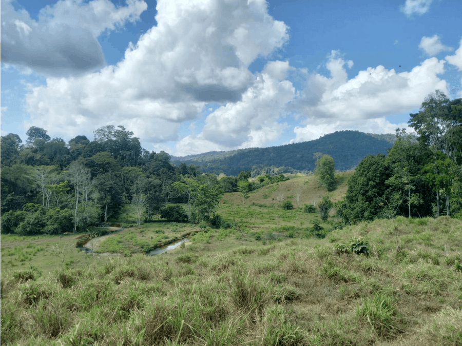 House at Puerto Jiménez