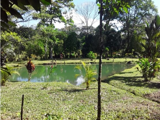 Propiedad en San Carlos