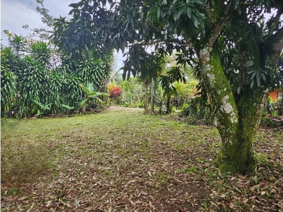 Propiedad en San José