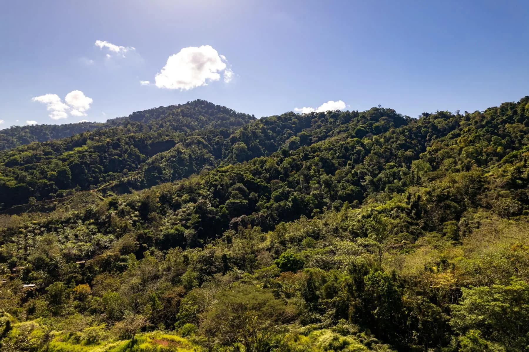 Land at Quepos