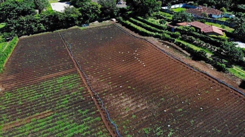 Terreno en San Rafael