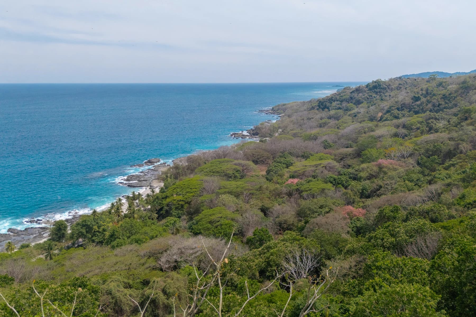 Land at Cóbano