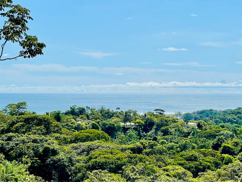 Propiedad en Puerto Cortés