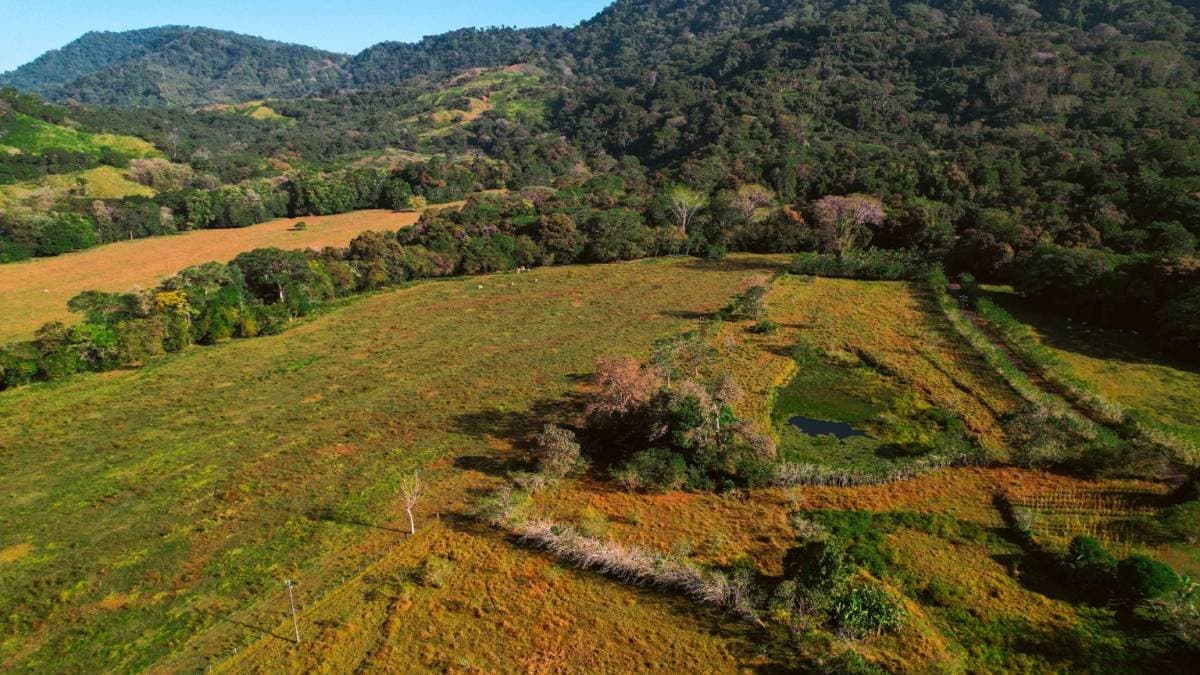 Property at Matapalo