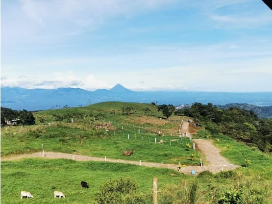 Propiedad en Alajuela