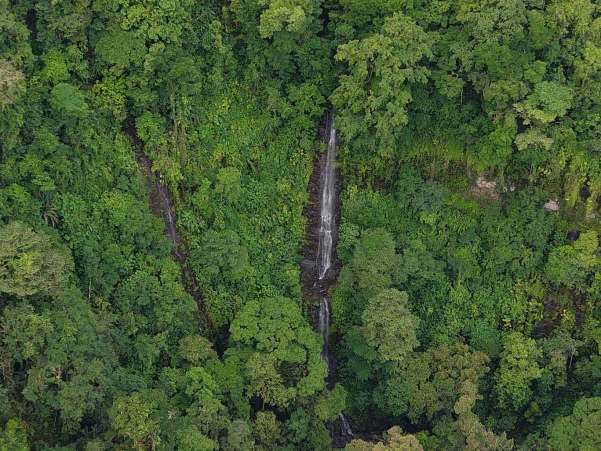 Property at San Antonio