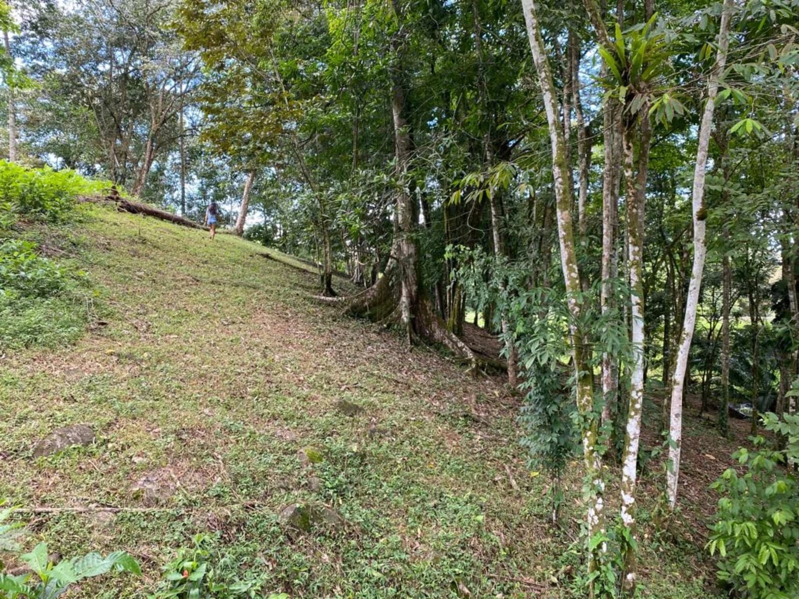 Commercial at Bahía Ballena