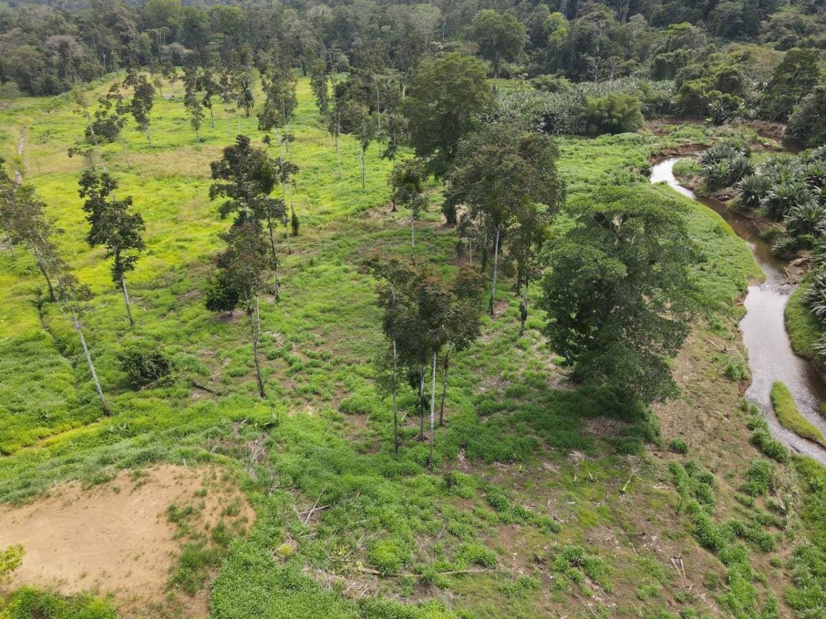 Propiedad en Hone Creek