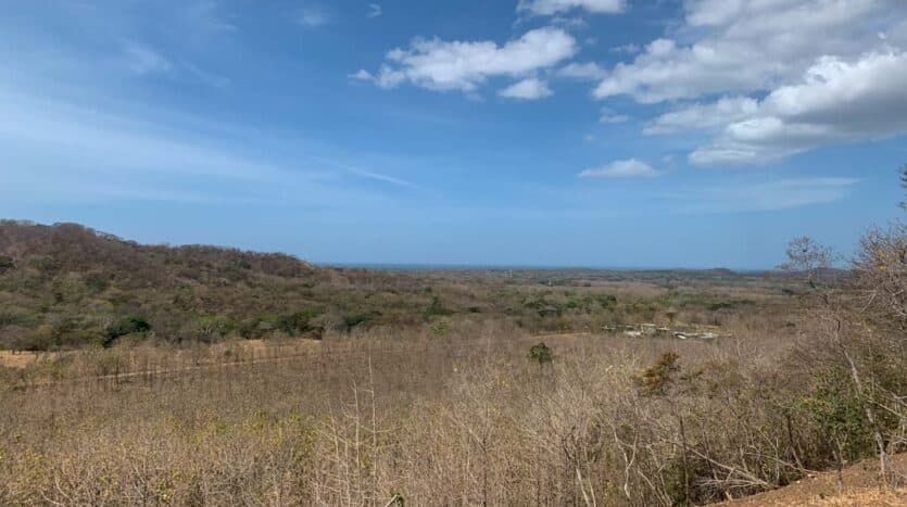 Land at Playa Avellanas