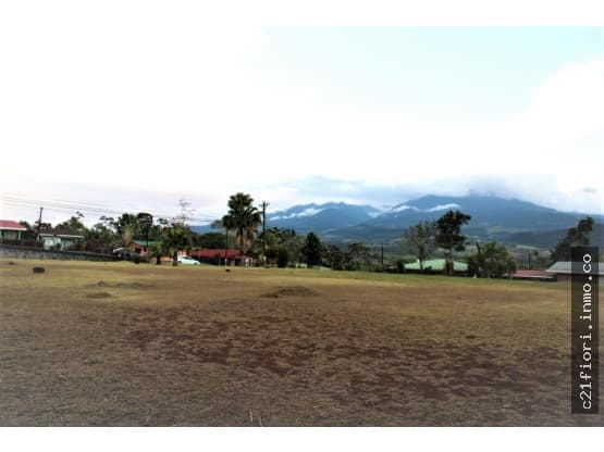 Land at La Palmera