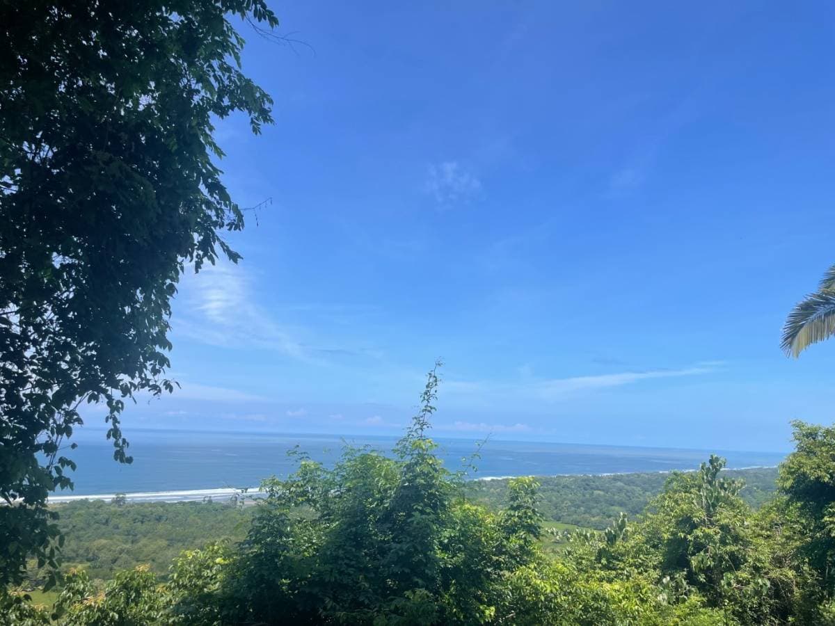 Property at Matapalo