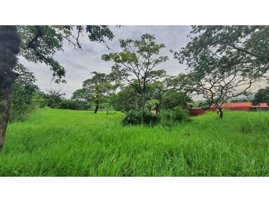 Property at Pozos