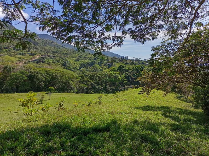 Land at Cajón