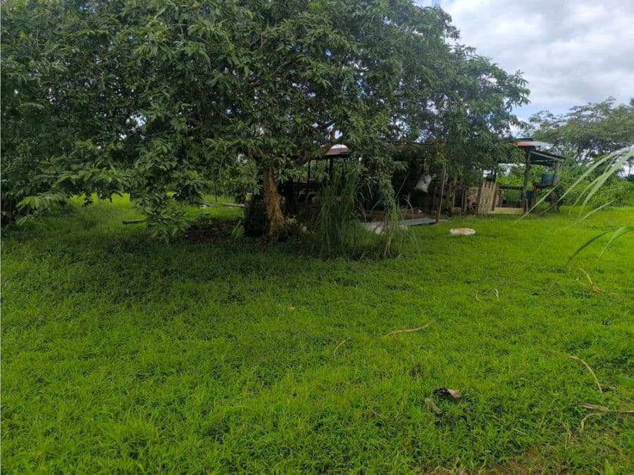 Terreno en La Virgen