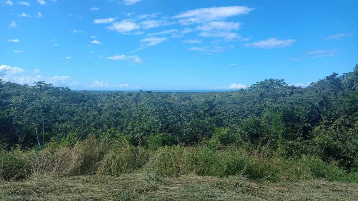 Property at Lagunillas