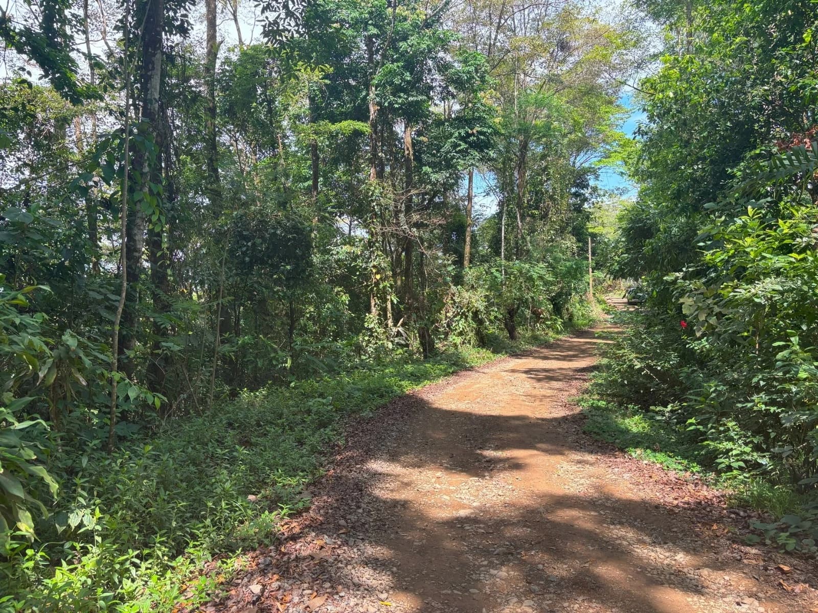 Land at Barú