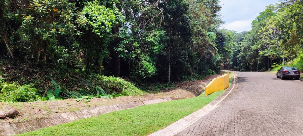 Propiedad en Parrita