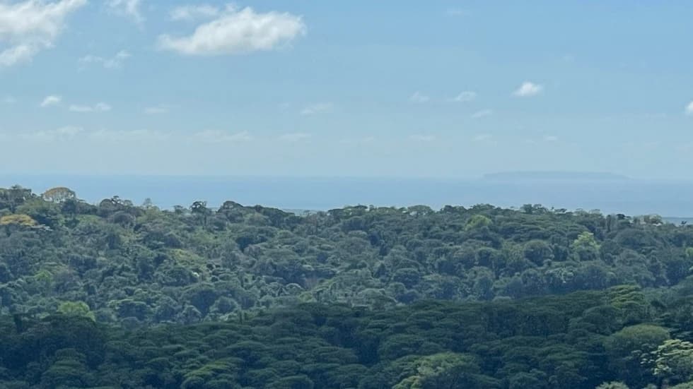 Land at Puerto Cortés