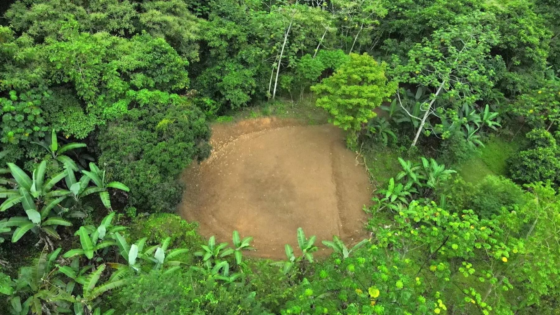 Land at Bahía Ballena