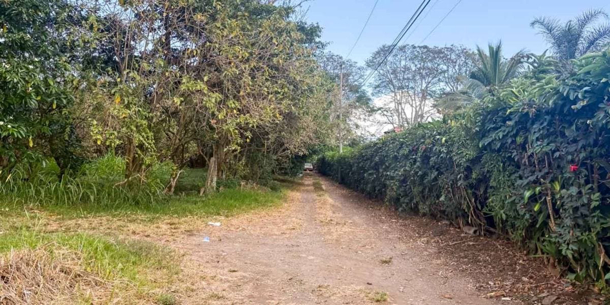 Property at Santo Tomás