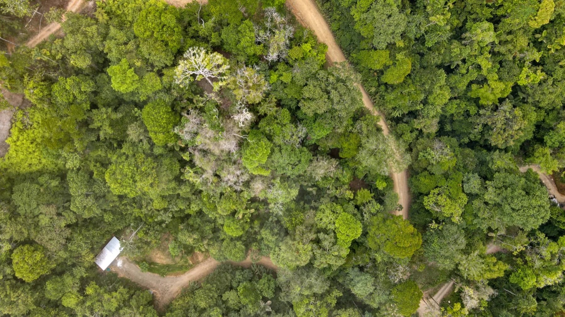 Terreno en Bahía Ballena