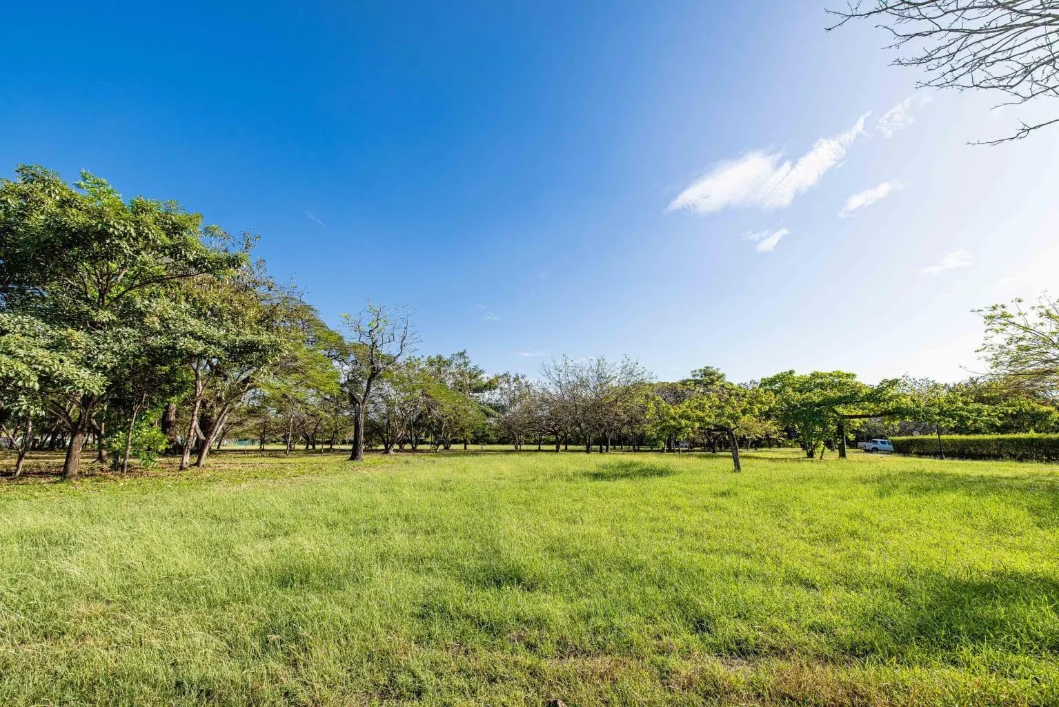 Land at Tamarindo
