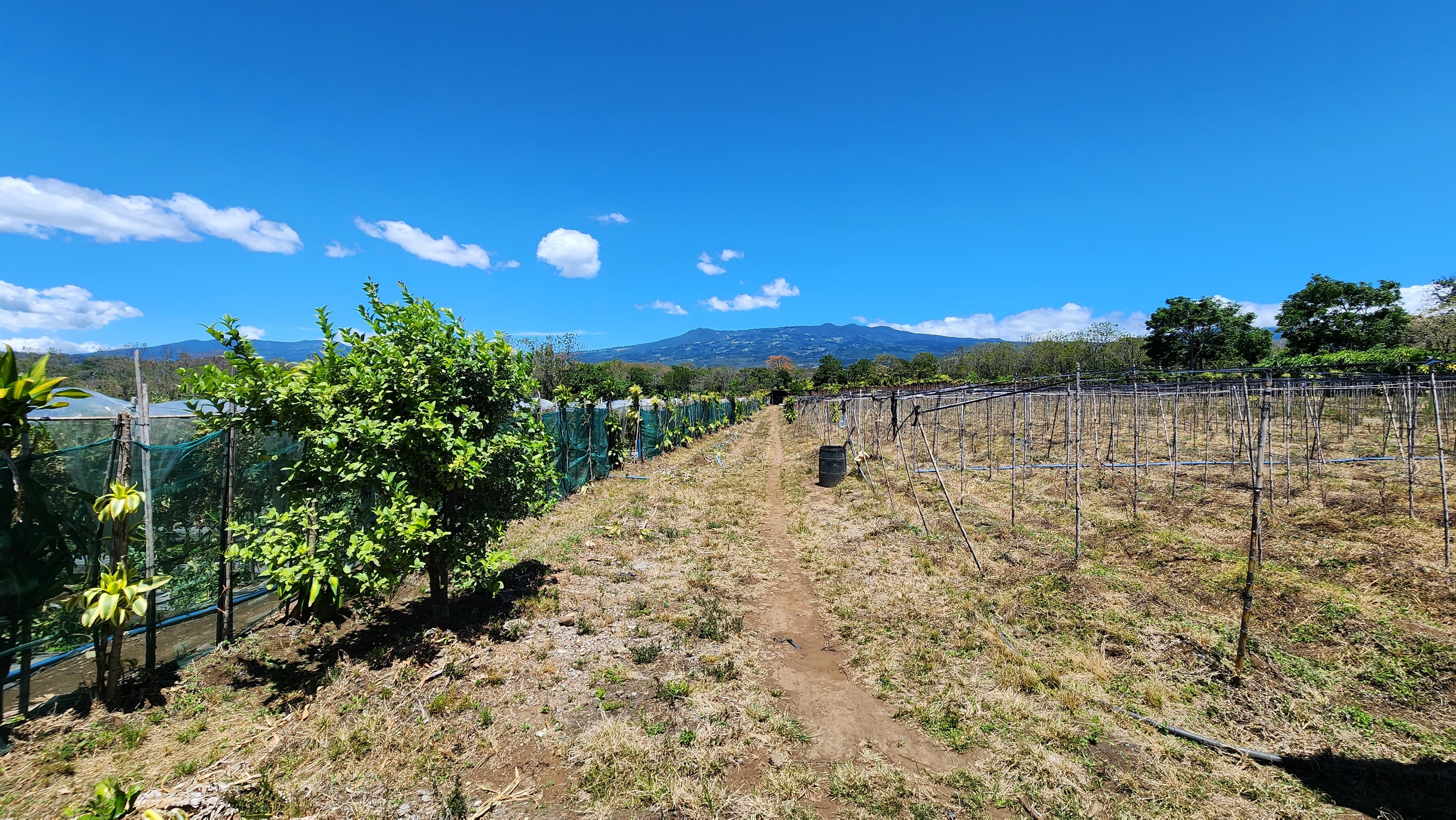 Land at Barrantes