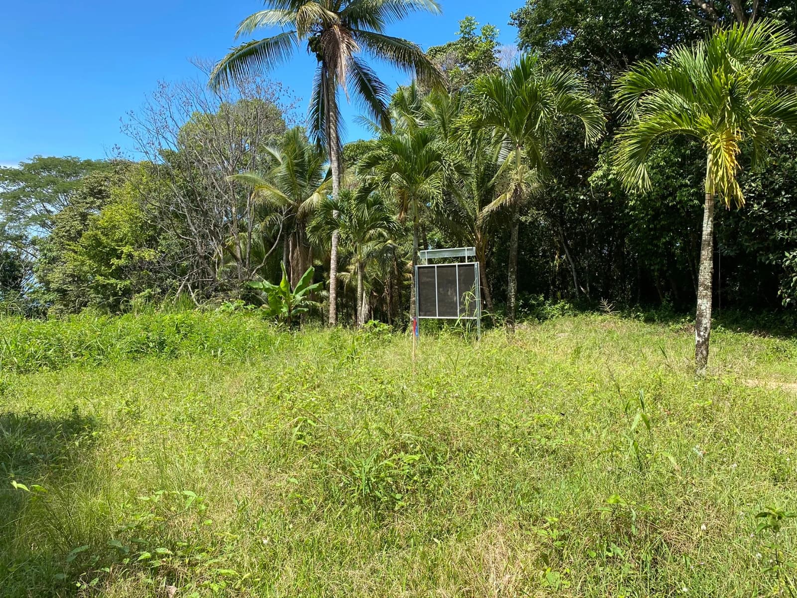 Terreno en Bahía Ballena