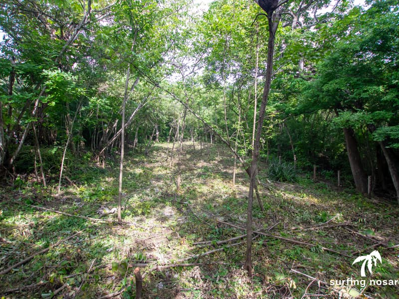 Terreno en Nosara