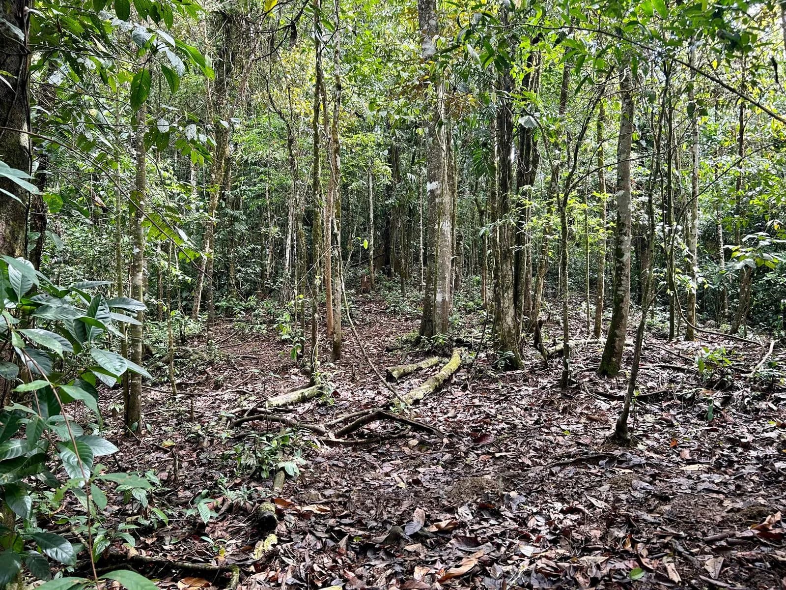 Land at San Isidro del General