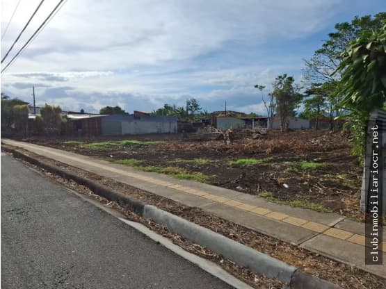 Terreno en Santo Tomás