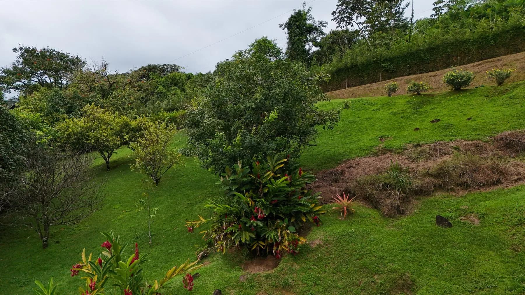 Propiedad en Bahía Ballena
