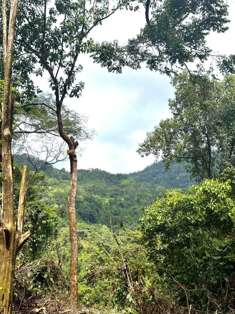 Property at Portalon