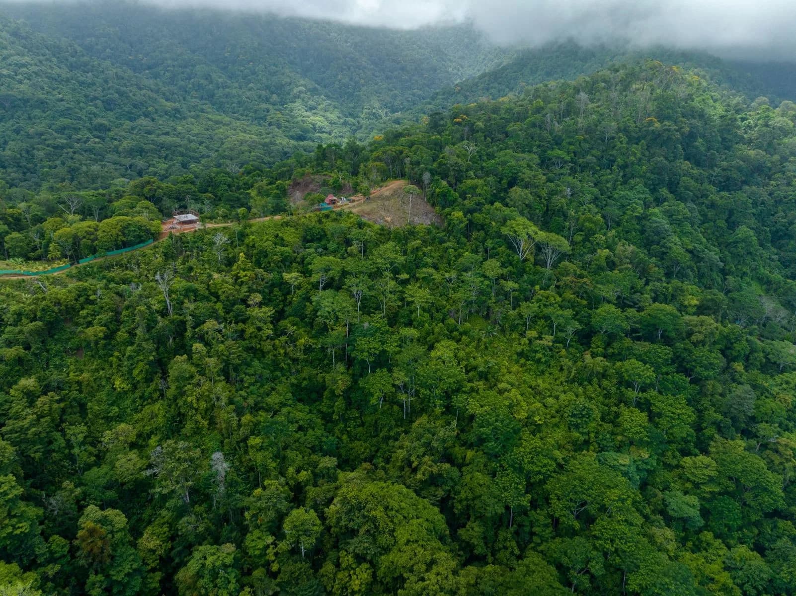 Land at Bahía Ballena