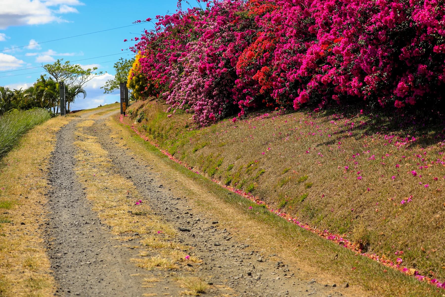 Property at Santa Bárbara