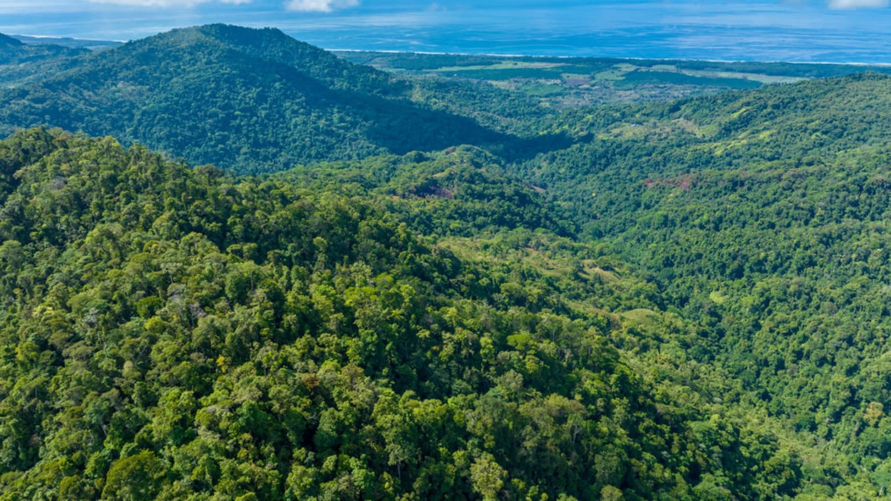 Land at Savegre