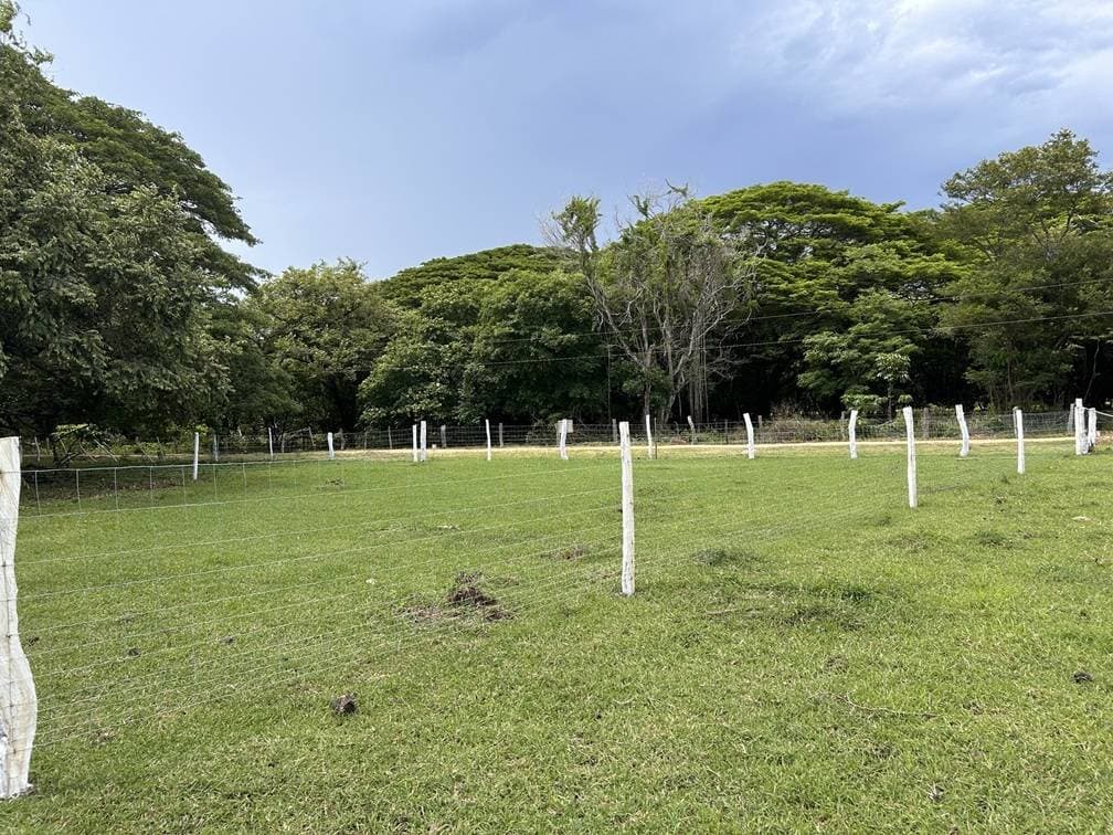 Propiedad en La Cruz