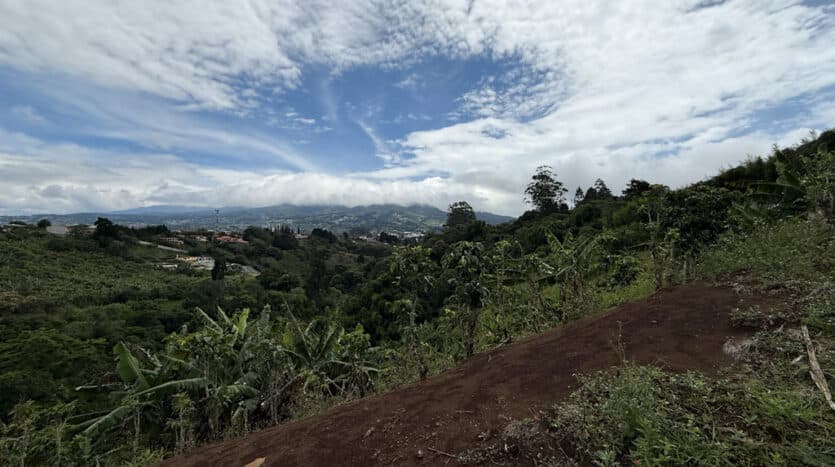Land at San Jerónimo