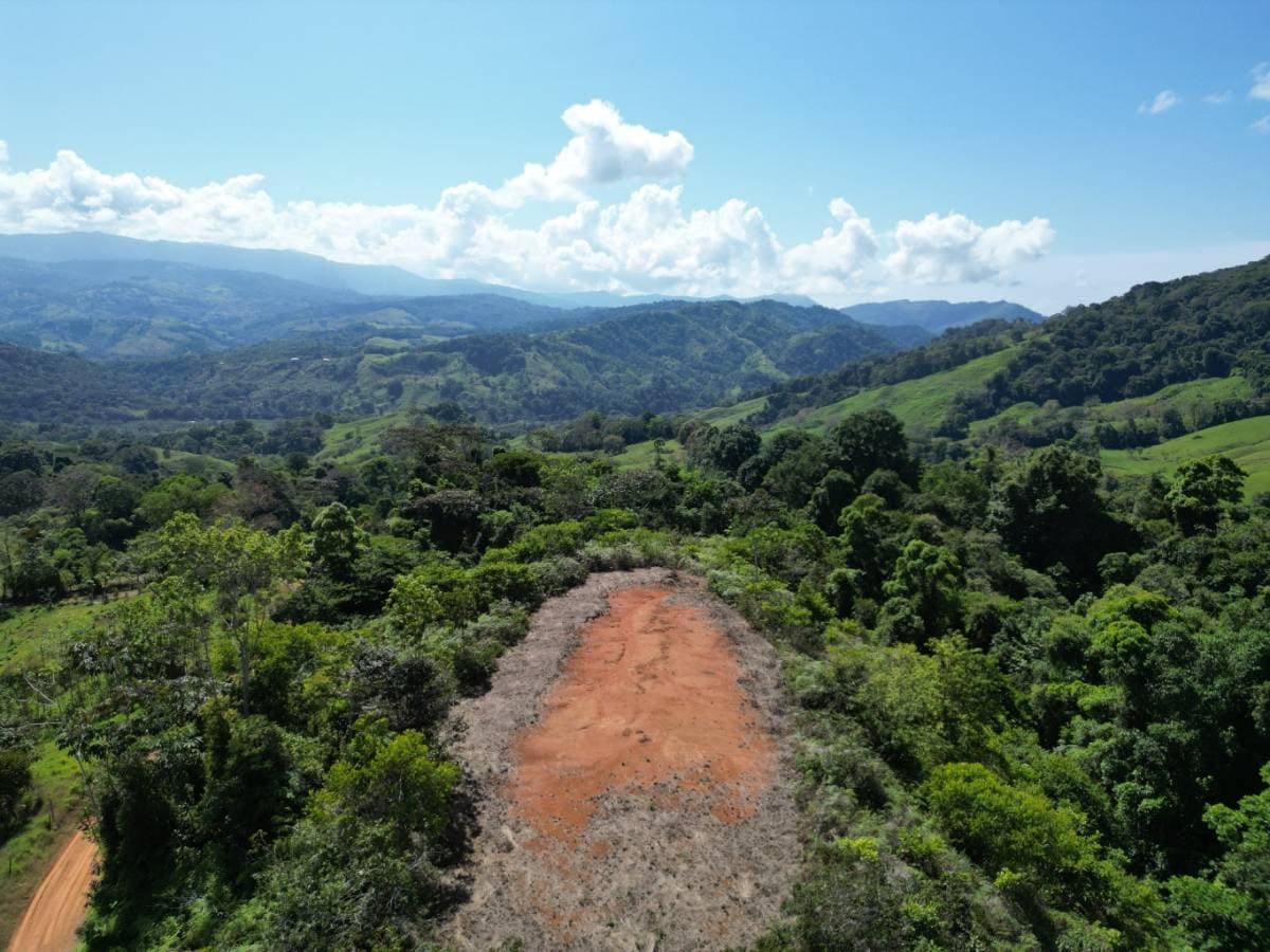 Property at Platanillo