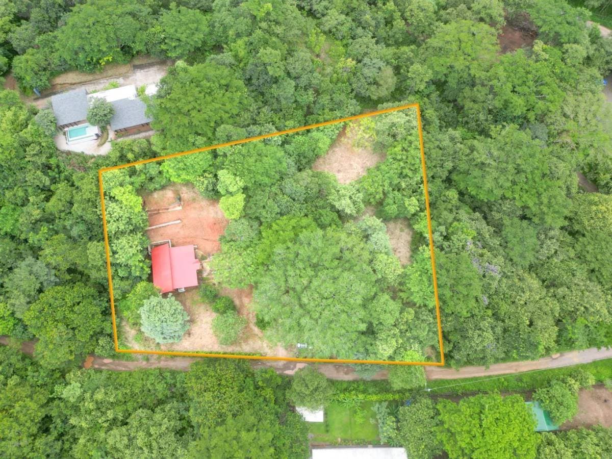 House at Tamarindo