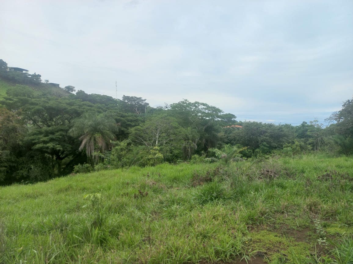 Terreno en San Juan Grande