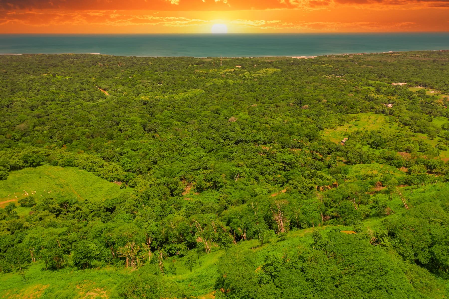 Land at Tamarindo
