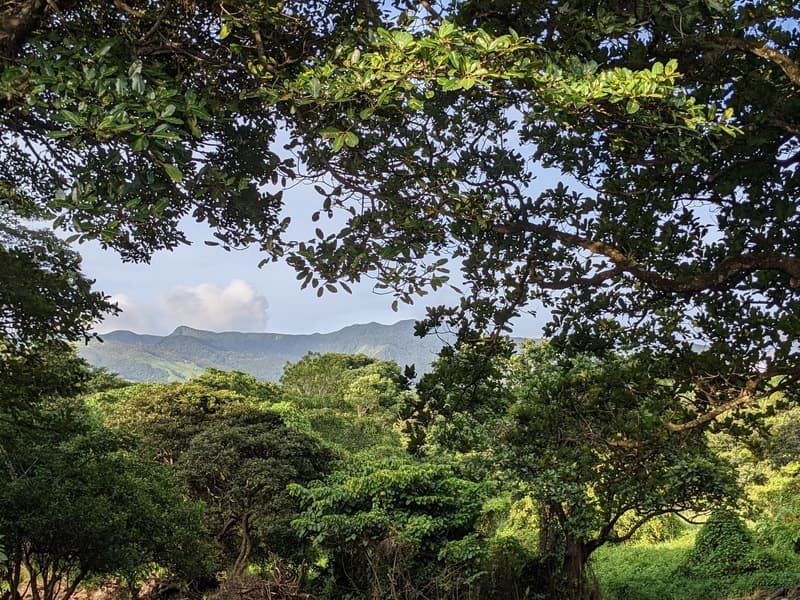 Propiedad en La Fortuna