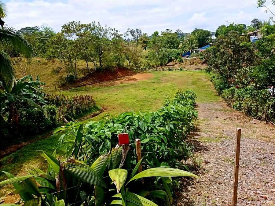Propiedad en Puerto Viejo