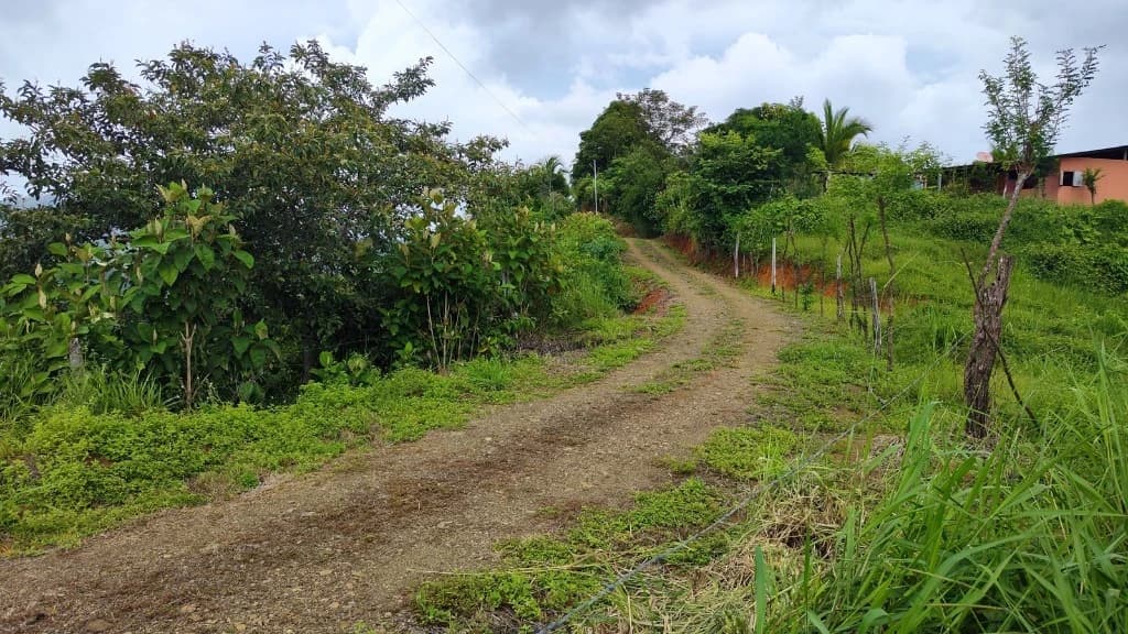 Terreno en San Isidro del General