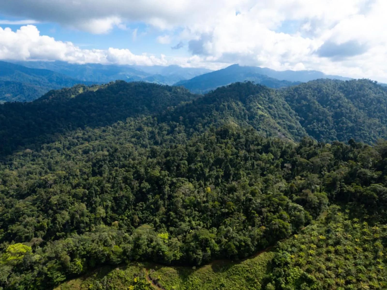 Land at Quepos