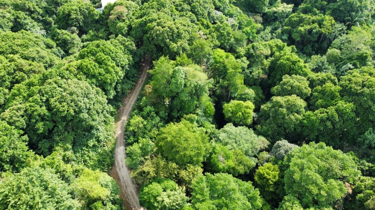 Propiedad en Condominio Las Palmas